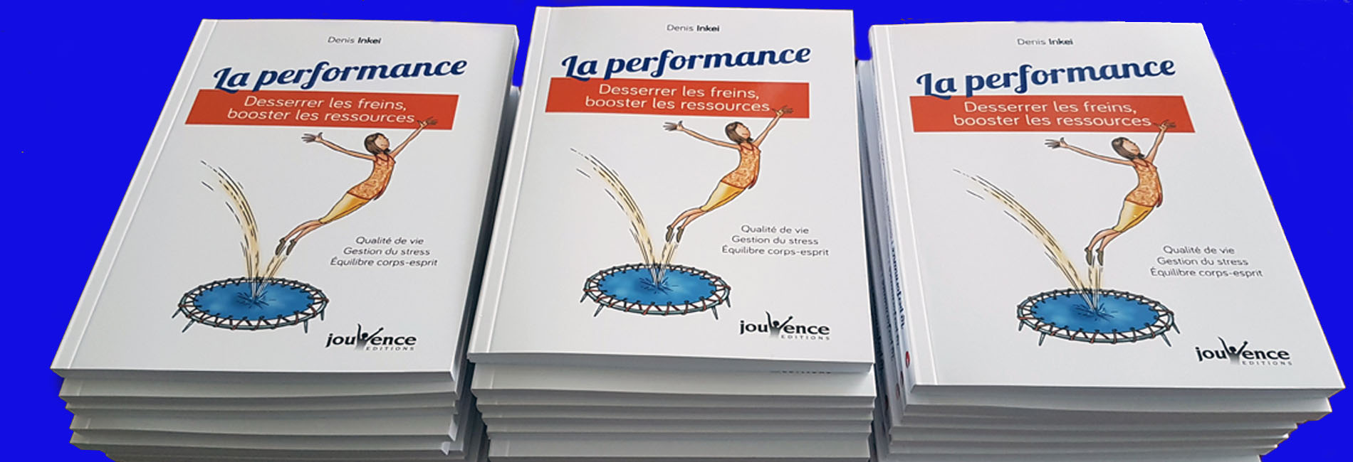 réussir malgré les doutes - Livre La performance Denis Inkei